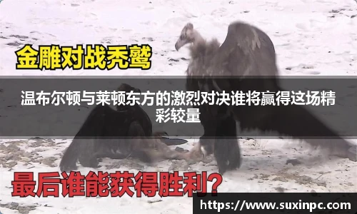 温布尔顿与莱顿东方的激烈对决谁将赢得这场精彩较量